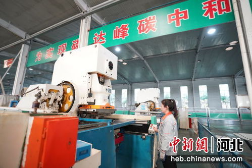 河北邢台经济开发区 优先发展电子信息产业，打造技术开发新高地